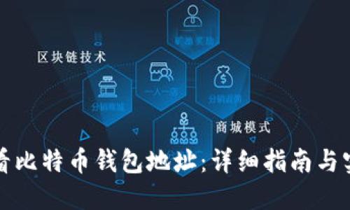 如何查看比特币钱包地址:详细指南与实用技巧