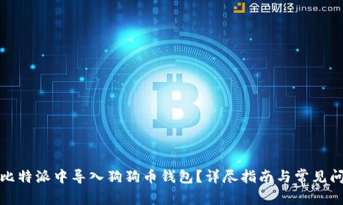 如何在比特派中导入狗狗币钱包?详尽指南与常见问题解答