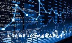 如何将狗狗币安全地存放在钱包中？
