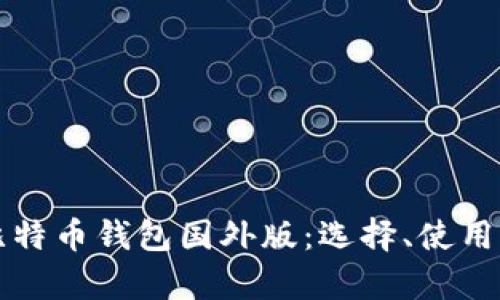 全面解析比特币钱包国外版:选择、使用及安全指南