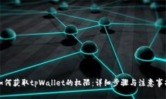 如何获取tpWallet的权限：详细步骤与注