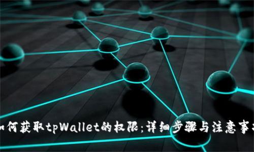 如何获取tpWallet的权限：详细步骤与注意事项