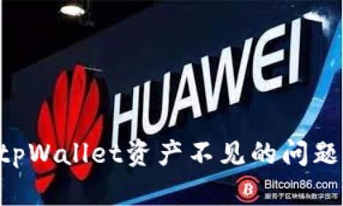 如何解决tpWallet资产不见的问题:全面指南