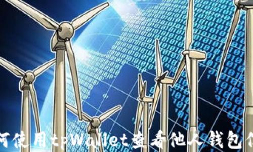 如何使用tpWallet查看他人钱包信息