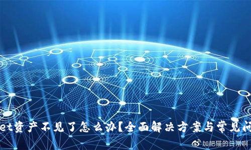 tpWallet资产不见了怎么办?全面解决方案与常见问题解析