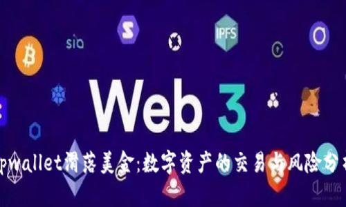 tpwallet滑落美金:数字资产的交易与风险分析