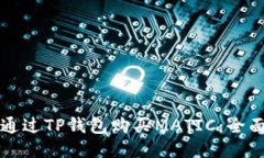 如何通过TP钱包购买MATIC：全面指南