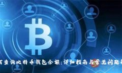 如何查询比特币钱包余额：详细指南与