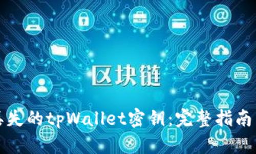 如何找回丢失的tpWallet密钥:完整指南与解决方案