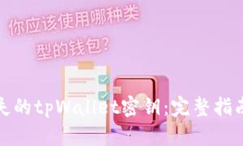 如何找回丢失的tpWallet密钥:完整指南与解决方案