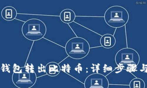 怎样从冷钱包转出比特币:详细步骤与注意事项