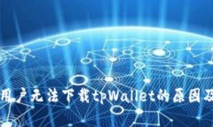 苹果大陆用户无法下载tpWallet的原因及