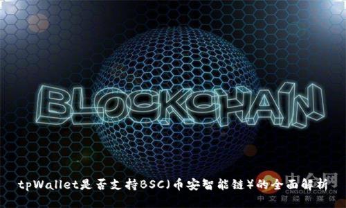 tpWallet是否支持BSC(币安智能链)的全面解析
