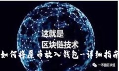 如何将屎币放入钱包-详细指南
