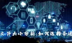 比特币钱包文件大小分析：如何选择合