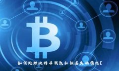 如何处理比特币钱包私钥丢失的情况？