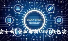 苹果USDT钱包安全吗？全面解析USDT钱包