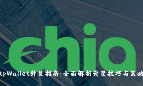 tpWallet升星指南:全面解析升星技巧与策略
