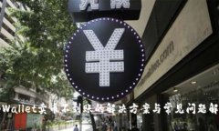 tpWallet卖币不到账的解决方案与常见问
