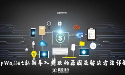 tpWallet私钥导入失败的原因及解决方法详解