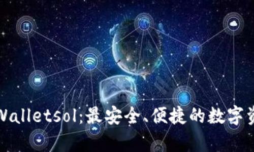 全面解析tpWalletsol:最安全、便捷的数字资产管理工具