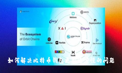 如何解决比特币钱包更新速度慢的问题