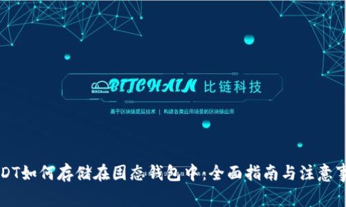 USDT如何存储在固态钱包中:全面指南与注意事项