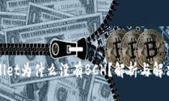 tpWallet为什么没有BCH？解析与解决方案
