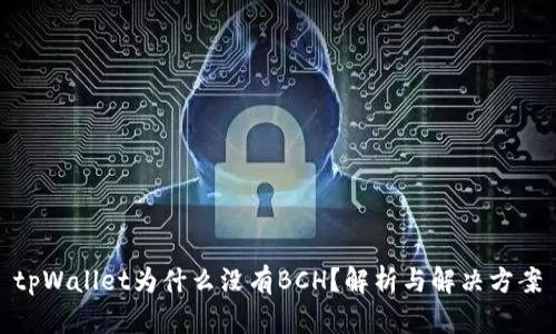 tpWallet为什么没有BCH?解析与解决方案