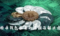 比特币钱包报毒的原因及解决方案