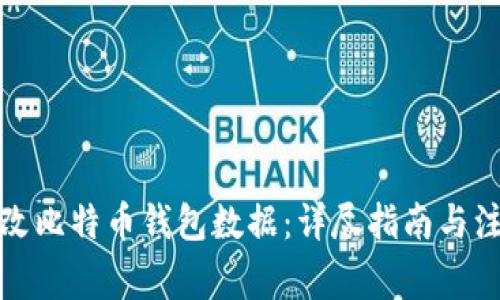 如何修改比特币钱包数据:详尽指南与注意事项