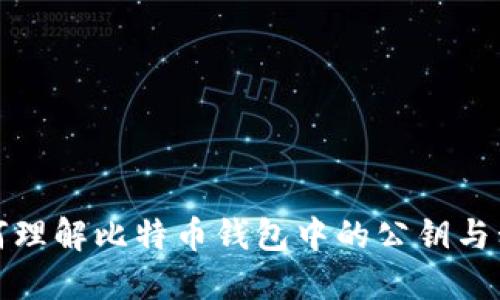 如何理解比特币钱包中的公钥与私钥