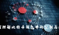 如何理解比特币钱包中的公钥与私钥
