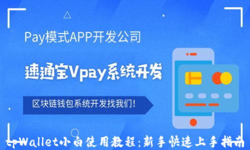 tpWallet小白使用教程:新手快速上手指南