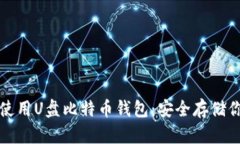如何下载和使用U盘比特币钱包：安全