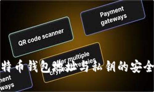 全面解析比特币钱包地址与私钥的安全及使用技巧