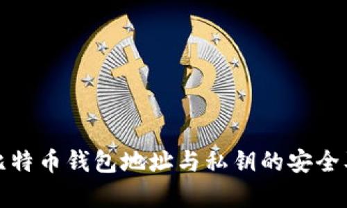 全面解析比特币钱包地址与私钥的安全及使用技巧