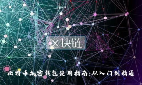 比特币加密钱包使用指南:从入门到精通