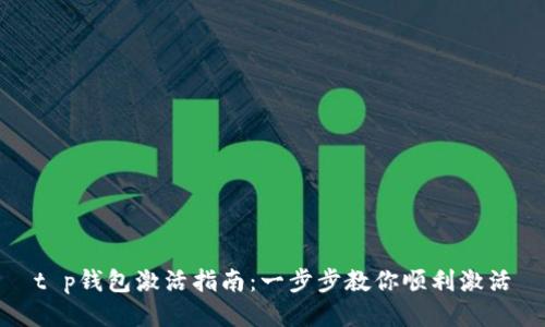 t p钱包激活指南:一步步教你顺利激活