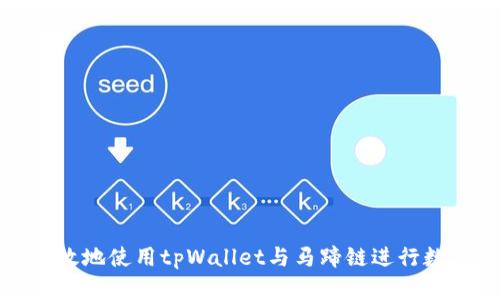 如何安全高效地使用tpWallet与马蹄链进行数字资产管理