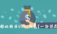 如何选择比特币USDT钱包？一份详尽的