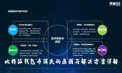 比特派钱包币消失的原因与解决方案详