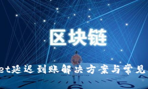 tpWallet延迟到账解决方案与常见问题解析