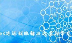  tpWallet延迟到账解决方案与常见问题解