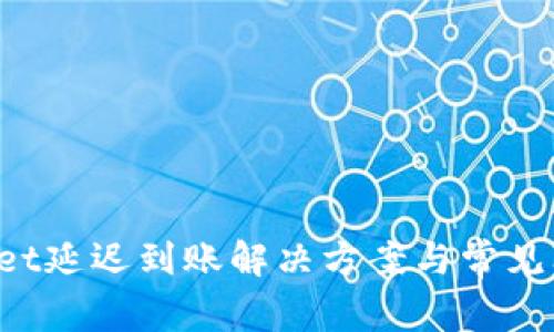 tpWallet延迟到账解决方案与常见问题解析