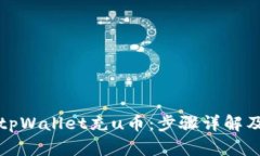 如何使用tpWallet充u币：步骤详解及相关