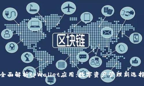 全面解析tpWallet应用:数字资产管理新选择