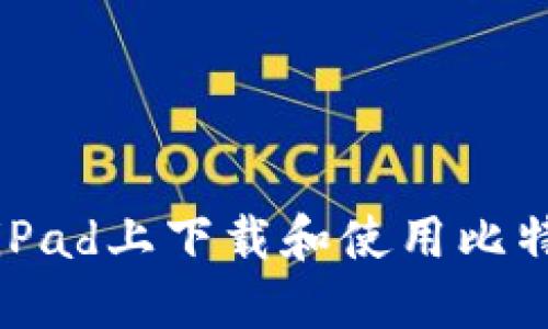如何在iPad上下载和使用比特币钱包