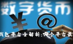 比特币钱包平台全解析：哪个平台最适