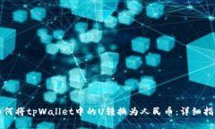 如何将tpWallet中的U转换为人民币：详细